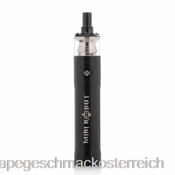 Steam Crave Mini Robot MTL Combo Kit Black Vape Geschmack